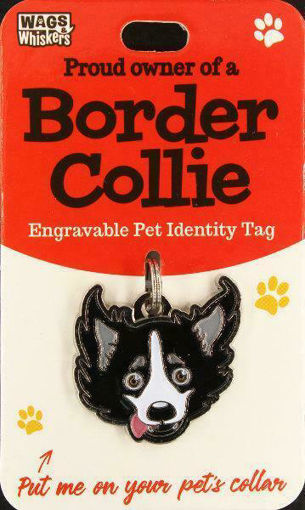Picture of BORDER COLLIE ID TAG